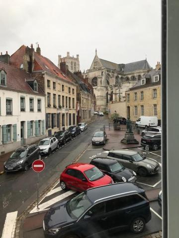 Les Dames Au Chapeau Vert Saint-Omer  Ngoại thất bức ảnh